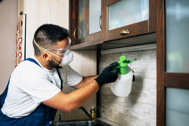 Best Best Pest Control Companies  in Parklawn, CA