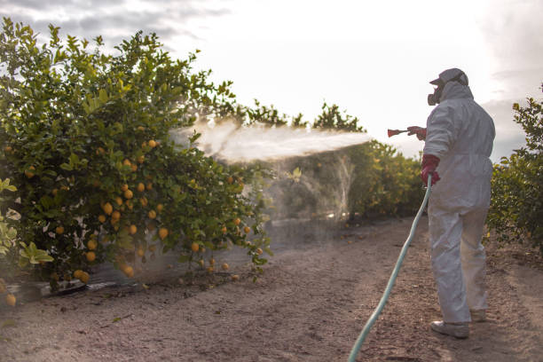 Pest Control Cost in Parklawn, CA