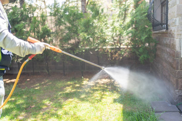 Reliable Parklawn, CA Pest Control Solutions