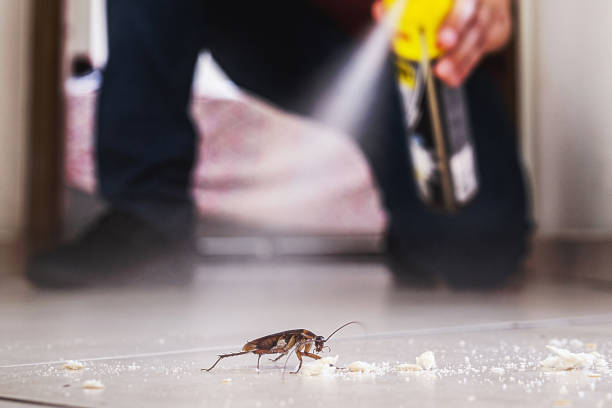 Best Mosquito Control Services  in Parklawn, CA