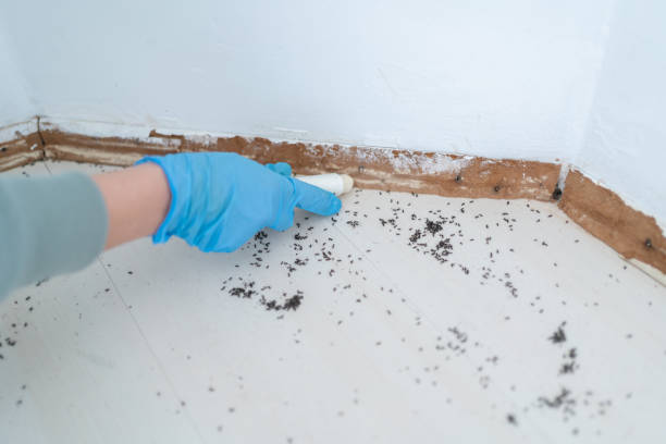 Best Exterminator Services  in Parklawn, CA