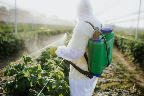 Best Insect Control  in Parklawn, CA